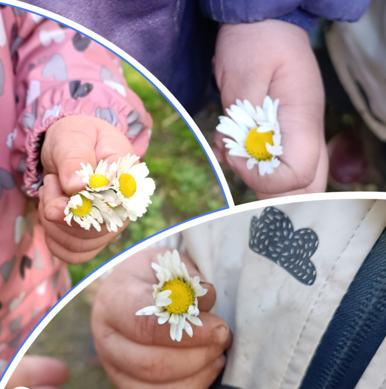 🌷Kleine Hände große Wunder🌷